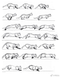 喵星人的画法以及肌肉、结构图例，让你画出各种猫咪！转需！ ​​​​