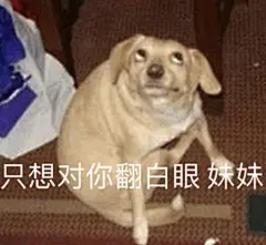 只想对你翻白眼 妹妹 - 沙雕汪星人表情包