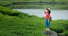 “武夷山采茶人”的图片搜索结果