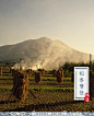 處暑 | 暑氣漸止,天地始肅。此時節,早晚涼風襲,南庭落葉沙。坐使青燈曉,還傷夏衣薄。此時的天高而雲輕,最宜賞星。江南向晚的院子裏露席而眠,都要備條薄被了。就這麼著,泡一碗濃茶,剝一剝菱角,向著院子一坐,開始一年中最好的時節。設計目錄微.信公眾平台正在推送《處暑》。移步關注閱讀：shejimulu。