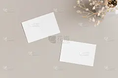 两张白色名片模型85x55mm与gypsophila。