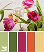 Design Seeds®: For All Who Love Color