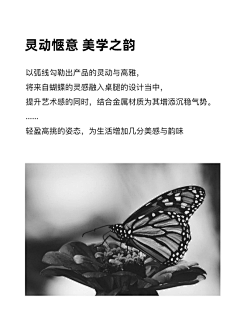 美工设计刘忙忙采集到家具文案