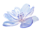 花3
