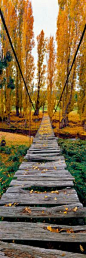 Omeo, Victoria, Australia: 