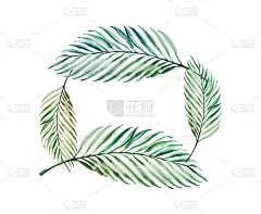 美丽的热带树叶框架。手掌。水彩画。外来植物。自然的打印。
