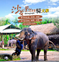 原住民旅游 泰国普吉岛一日游 沙发里骑大象半日游 含表演 - alitrip
