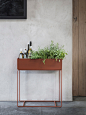 Plant Box - Ochre 2