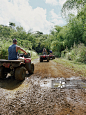 Group of friends riding ATVs down muddy dirt road, rear view_创意图片