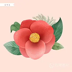 20个逼真小清新手绘水彩花朵花卉元素图案海报背景ps分层设计素材-淘宝网