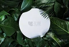 绿叶图案背景，自然背景和壁纸
