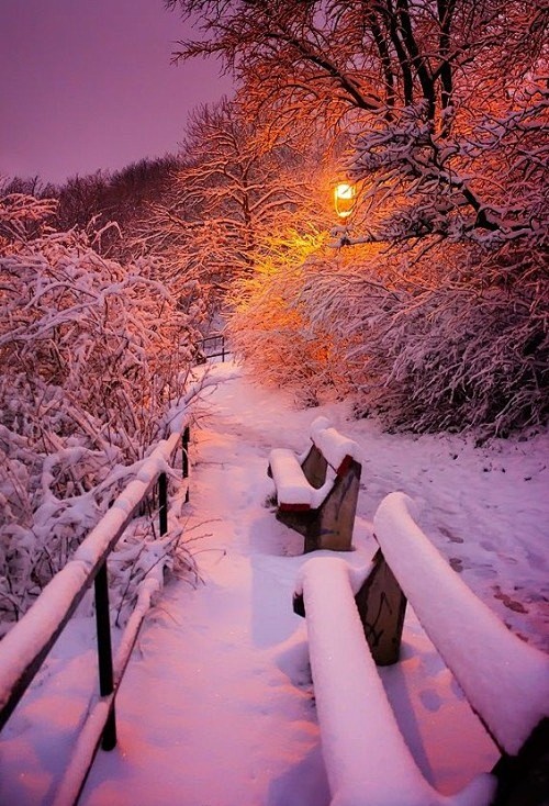 maya47000:Winter by ...