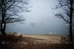 我去了我城镇附近的一个湖，看到了雾，所以我试着拍了一些有趣的照片