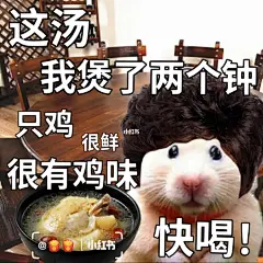 鼠鼠表情包|如果你有一个广东妈妈… : 我说过最叛逆的话，可能就是拒喝妈妈煲的汤 （当然，最后结局永远不可能是不喝的）   适用场景：发给妈妈/不爱吃饭的朋友/热气的朋友 	 #表情包  #我最爱的表情包  #奇奇怪怪表情包  #表情包