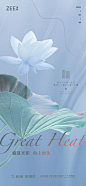 大暑海报