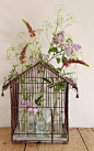 舊鳥籠改造成花器:)