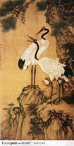 工笔画—白鹤