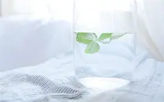 小清新唯美意境高清图片桌面壁纸