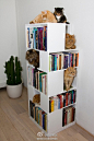 这个可以有//即是书架，又是猫咪门的乐园