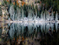 面对巨人——落基山国家公园，美国科罗拉多州
落基山国家公园是大自然的杰作，园区内有77座海拔3600米以上的山峰，还有大片高山冻原。2014年九月份杨树转黄时，落基山国家公园成立一百周年纪念活动将如期展开，时间持续一年。