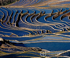 中国有机生活网采集到十字路口