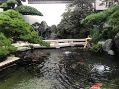 梨梨梨梨原上草采集到黄埔别墅