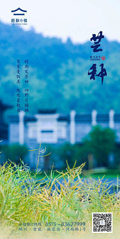 大白花鱼采集到节气
