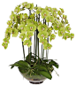 Phalaenopsis Orchid In Glass Flower Arrangement traditional-artificial-flowers-plants-and-trees