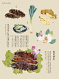 美食插画 (3950)