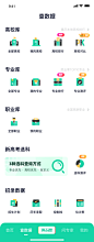 icon（金刚区）-美叶
