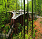 乡村，民宿景观(1646图)_@oo^小米^oo收集_花瓣建筑设计2-Bamboo Gateway, Guizhou by West-line studio579