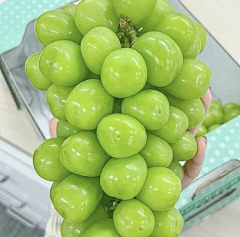墨茨酱采集到追逐星光