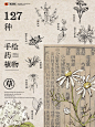 花草古风草药草本植物线稿png免素描手绘花卉包装海报AI设计素材-淘宝网