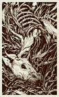 { teaganwhite } design & illustration