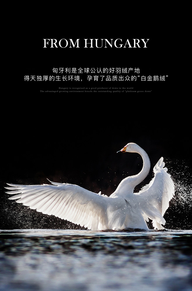 拉芙菲尔 匈牙利进口95白鹅绒羽绒被冬季...