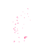 花瓣粉色素材png