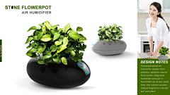 黑帖采集到植物