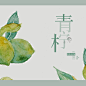 这首歌的成员都超甜超盐超可爱
