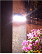 太阳能户外庭院灯花园布置家用防水超亮人体感应多头三面发光壁灯-tmall.com天猫