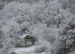 雪舞影采集到水墨~中国风