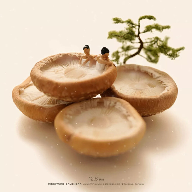 蘑菇温泉