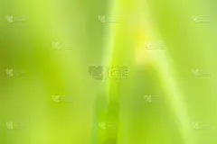 摘要模糊背景下的生物学主题和生物学研究。概念——治疗疼痛、病毒和保健。支持书籍封面，小册子，报告和网