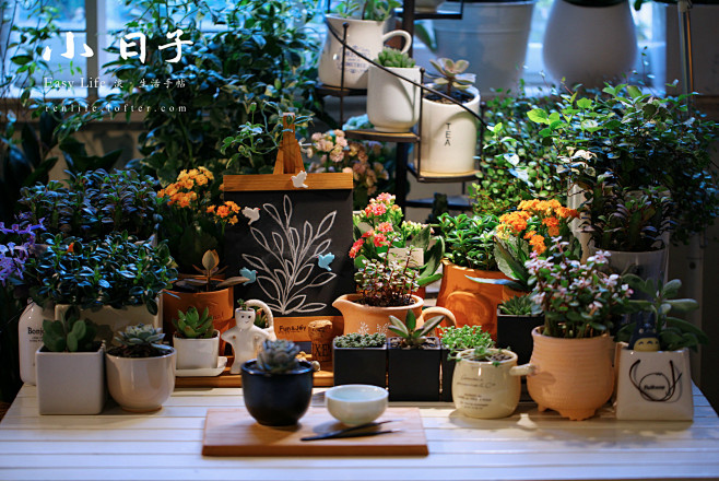 【窗台下的植物工作台】 20-《花与匠》...
