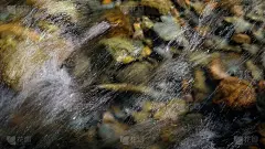 岩石山底河流穿过清澈的河水，选择性聚焦，画面模糊。溪水中的水晶水在阳光下闪闪发光。石头的背景