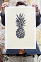 菠萝2015，纸上圆珠笔，印刷420 x 594毫米。 由Kookaburra