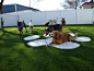 FieldTurf artificial grass is the perfect solution for commercial pet care facilities seeking an answer for their doggy play areas.  Dogs stay clean, your facility stays clean and dog owners are happy when they pick up their clean dog at the end of the da
