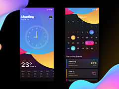 RayJX采集到APP-日历
