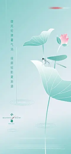 清新荷叶荷花小暑节气海报 (12)