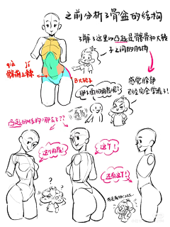 北冥扶风采集到女性人体结构