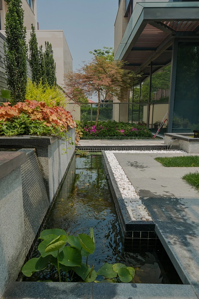 苏州园林设计公司_景观、庭院、花园、别墅庭院设计_园林效果图片_苏州融景景观营造有限公司_公司佳作：晋园现代别墅花园设计-花瓣网
